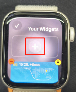 HiPPO на Apple Watch