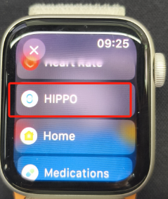 HiPPO на Apple Watch