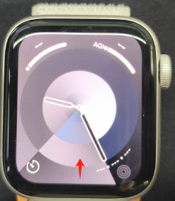 HiPPO на Apple Watch