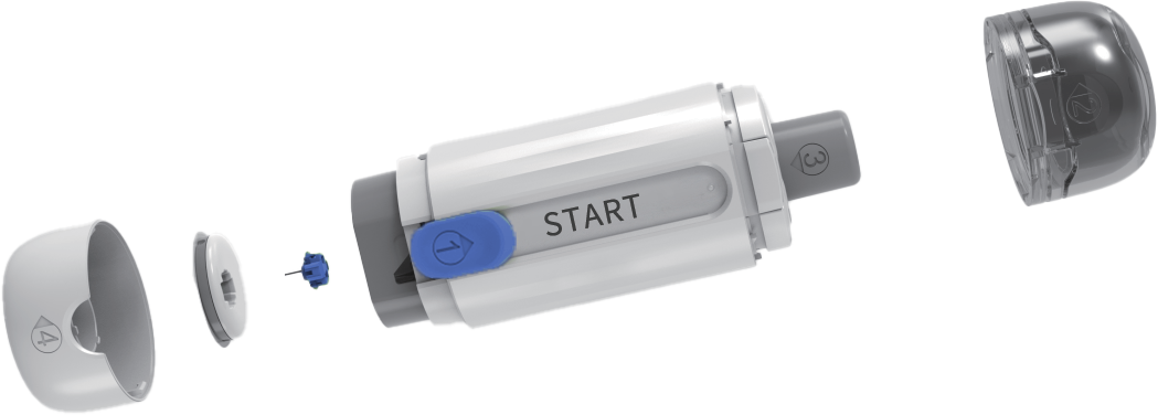 Hippo Sensor